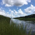 A tranquil river scene with grasses in the foreground, cloudy sky, and greenery along the riverbank.