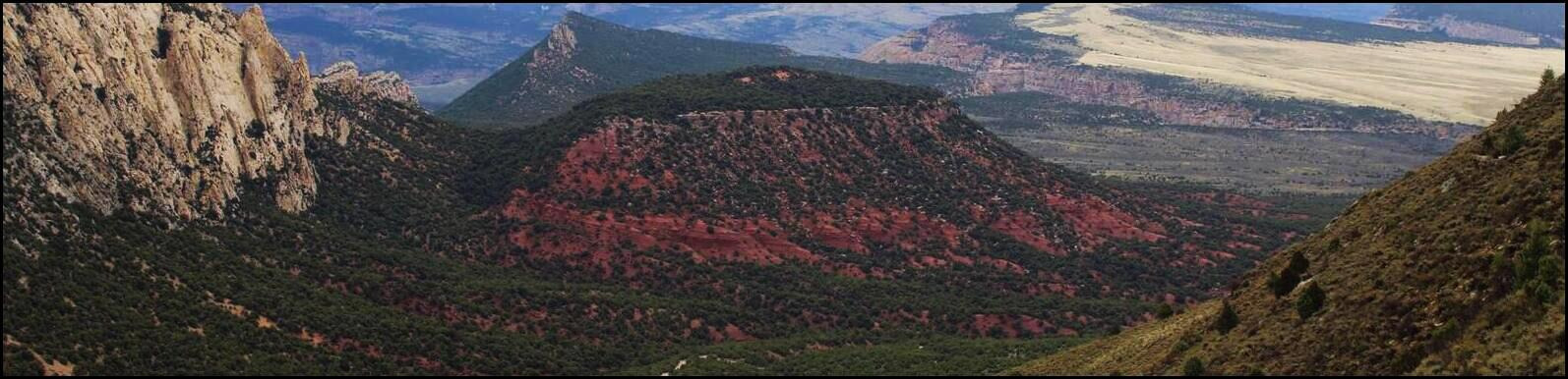 A scenic view of a canyon with a flat-topped mountain, rugged cliffs, and patchy greenery.