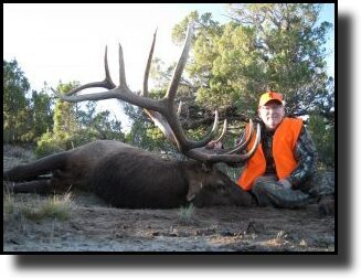 A person in hunting gear poses next to a large elk with antlers, outdoors amid trees.