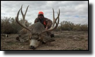 A person in camo and an orange hat poses with a large deer, laying on the ground, outdoors.