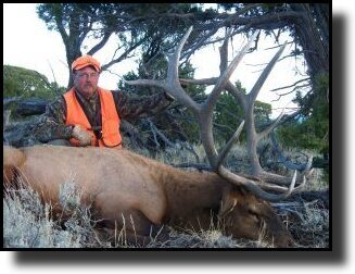 A person in camouflage and orange gear beside a large elk lying on the ground, with trees in the background.