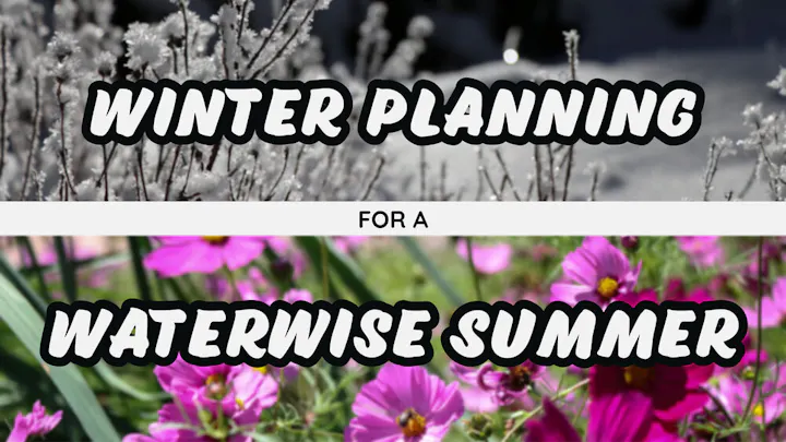 May contain: nature, outdoors, flower, plant, ice, vegetation, petal, and purple