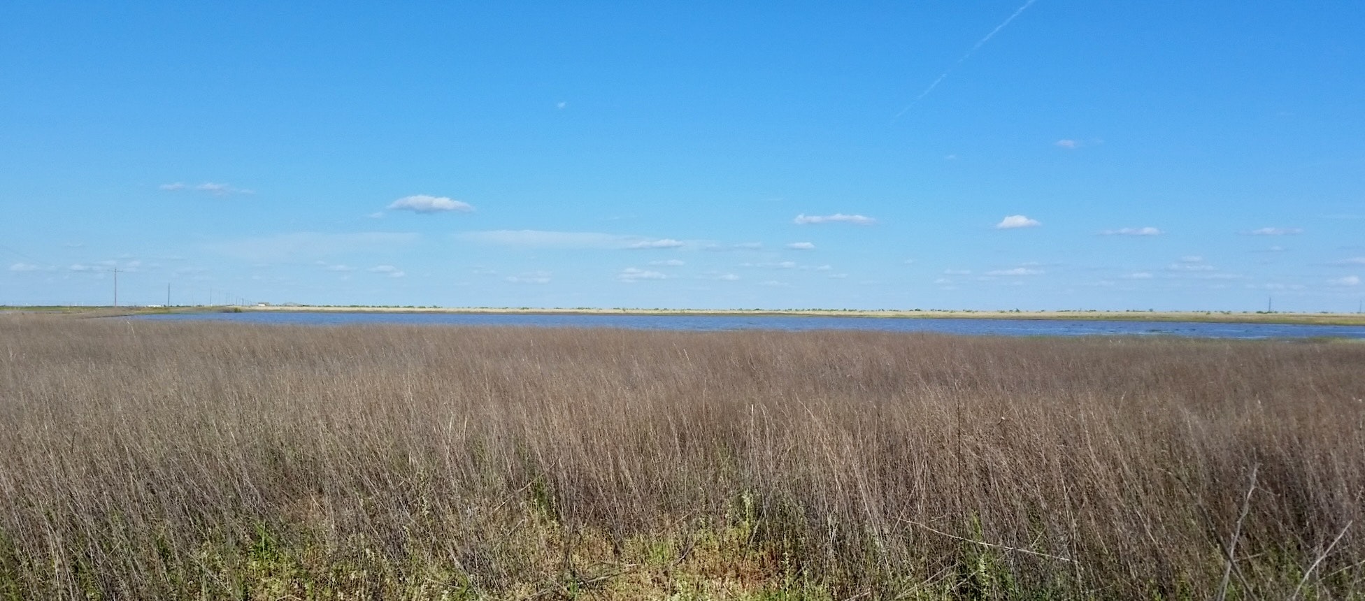 The image shows a vast landscape with tall, dry grass in the foreground and a body of water under a clear blue sky.