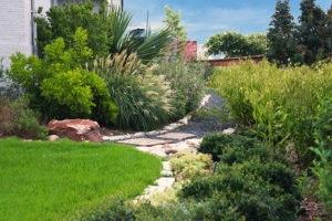 May contain: backyard, nature, outdoors, yard, landscape, grass, plant, garden, path, walkway, and vegetation