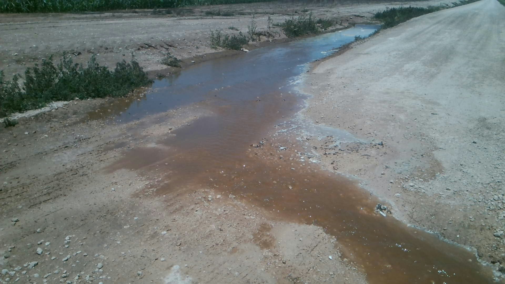 A muddy puddle on a dirt road with surrounding sparse vegetation.