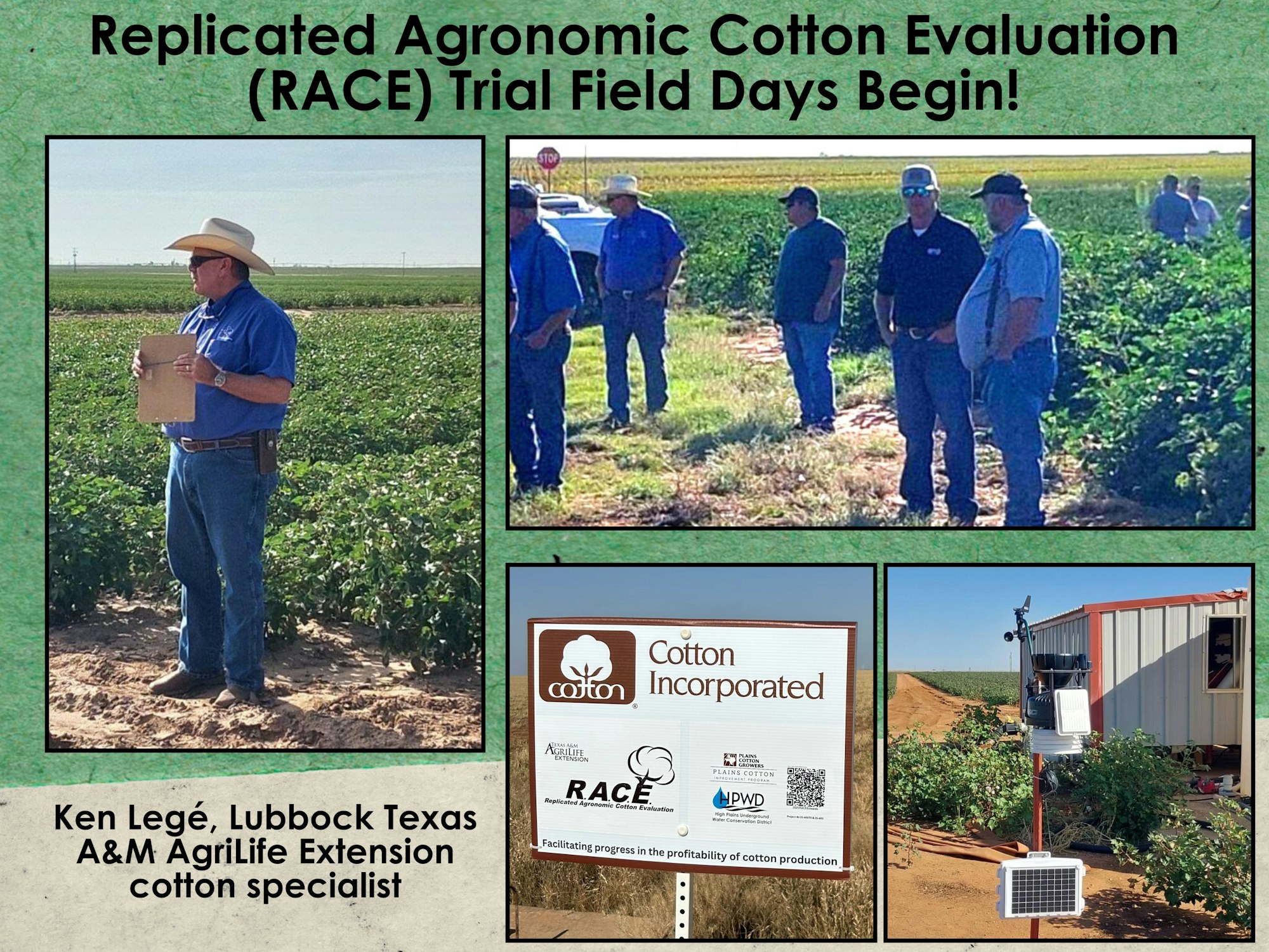 RACE Trial Field Days with Ken Legé in Lubbock, Texas, showing cotton fields, and weather station equipment.