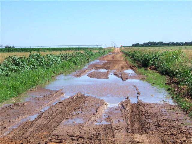 A muddy rural road with water puddles and tire tracks, flanked by greenery under a clear sky.