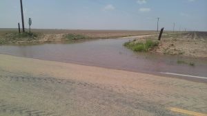 Flooded rural road with brown water flowing over. Sparse vegetation and open field in the background.