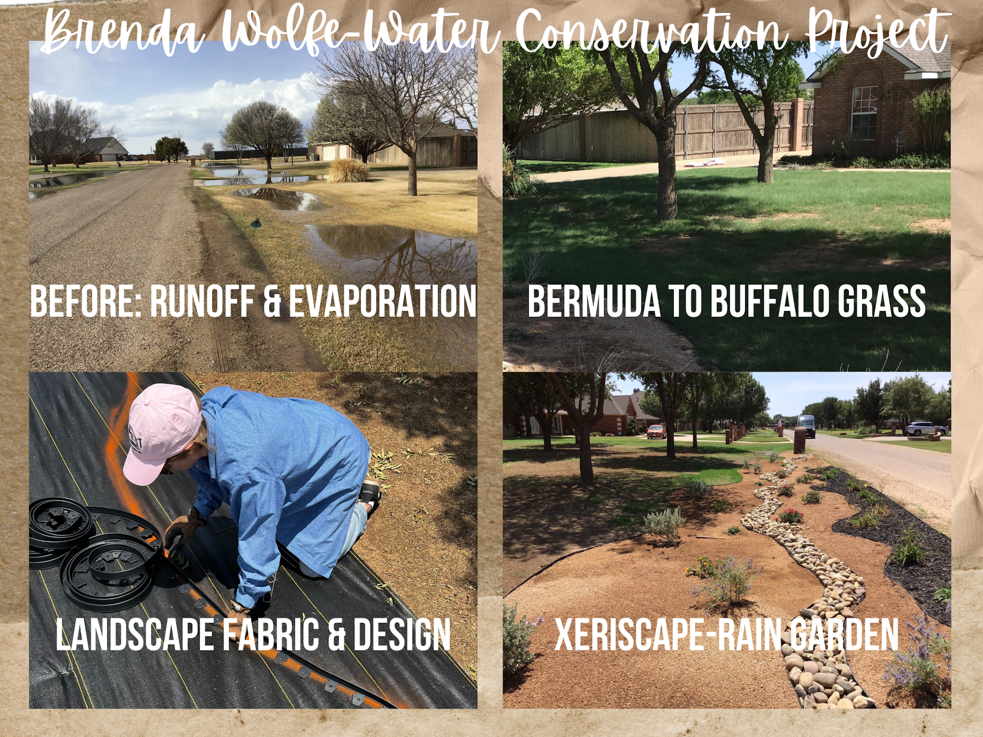 A collage showing a water conservation landscaping project, with before/after photos and steps of transformation from grass to xeriscaping.