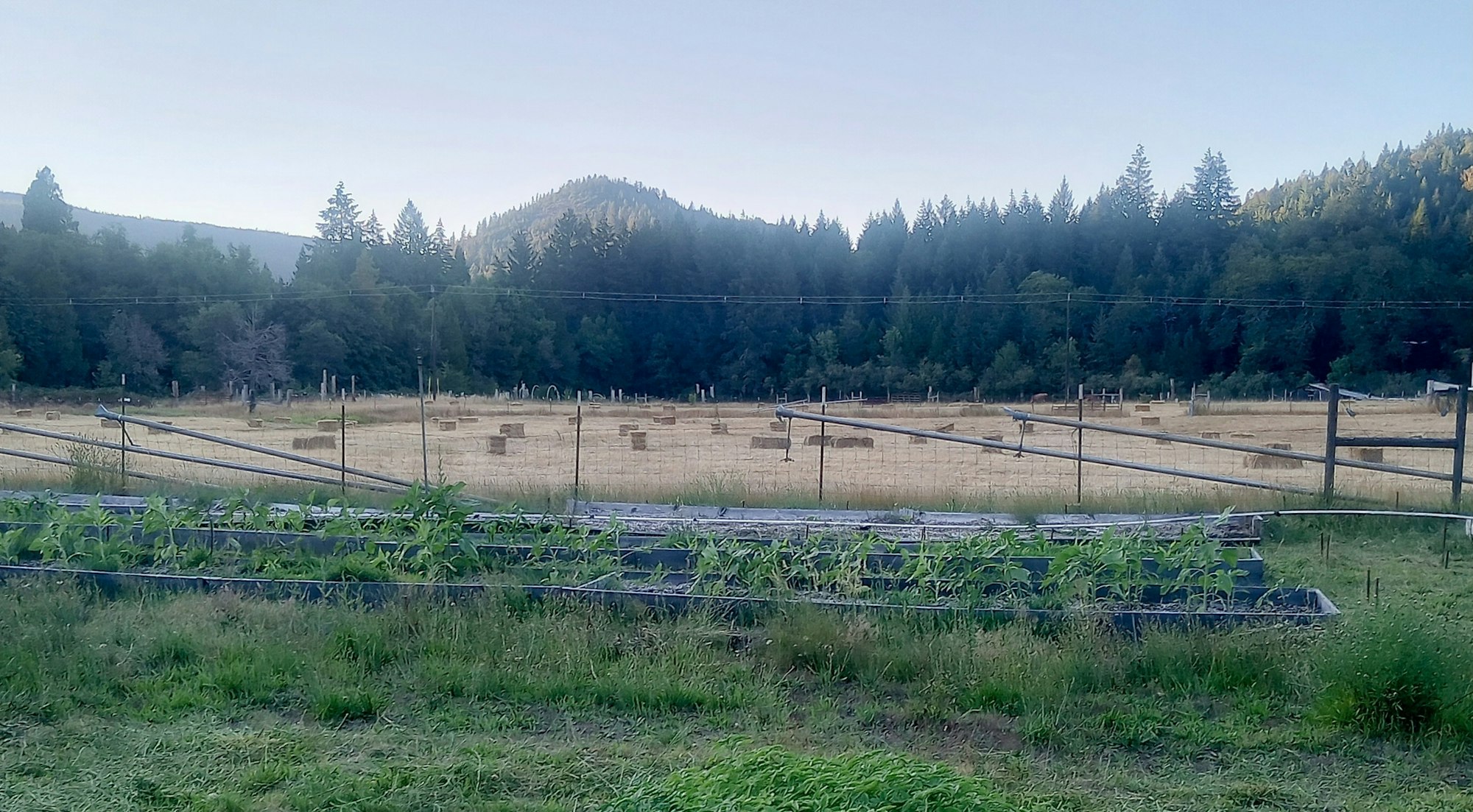 Rural landscape with a field of hay bales, wooden fences, and forested hills in the background.