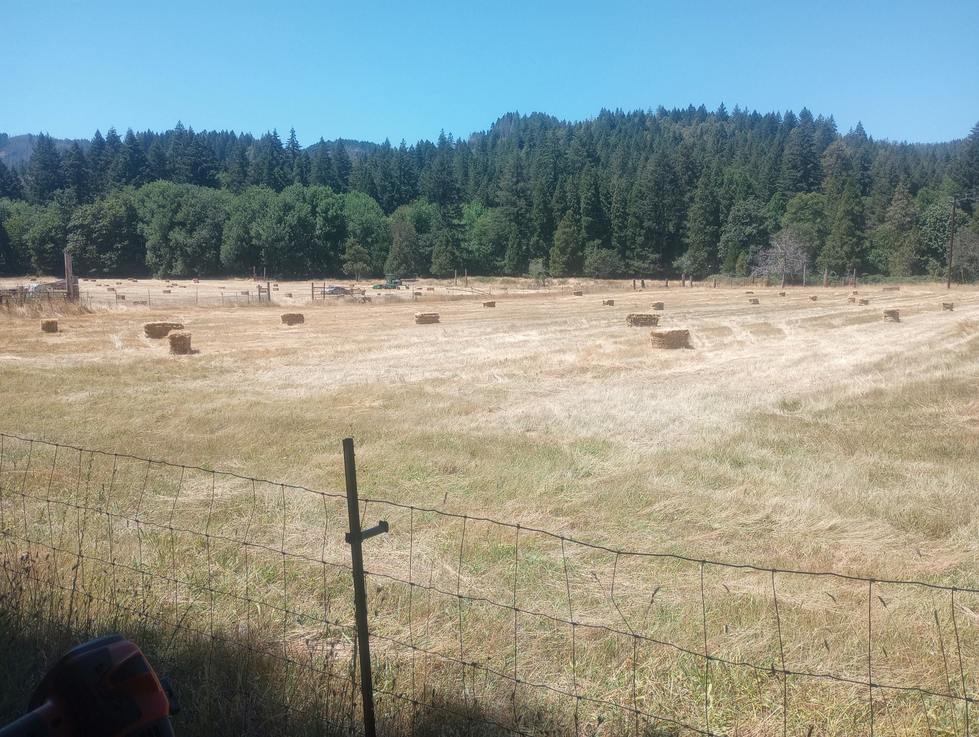 A field with haystacks, trees in the background, a fence in the foreground, and clear blue skies.