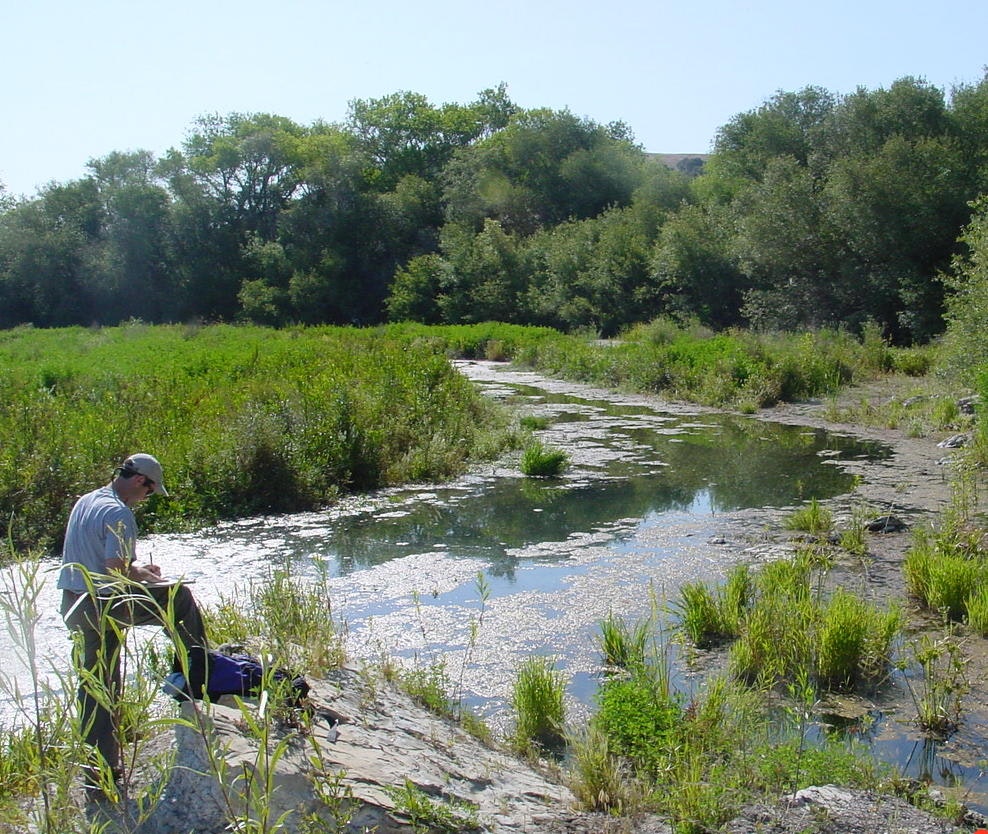 Fisheries Division Senior Biologist
