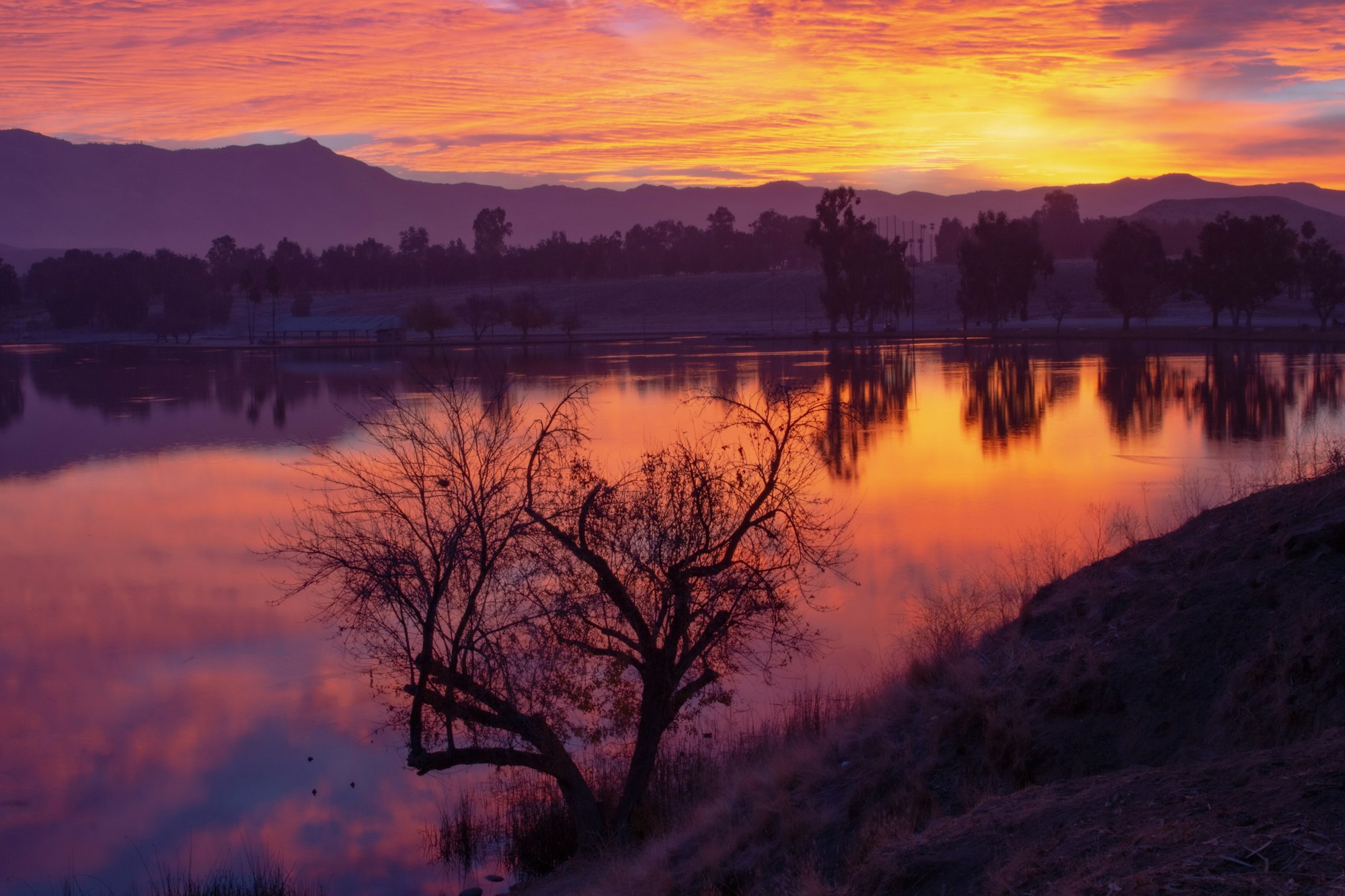 May contain: nature, outdoors, sky, sunset, sunrise, scenery, lake, and water