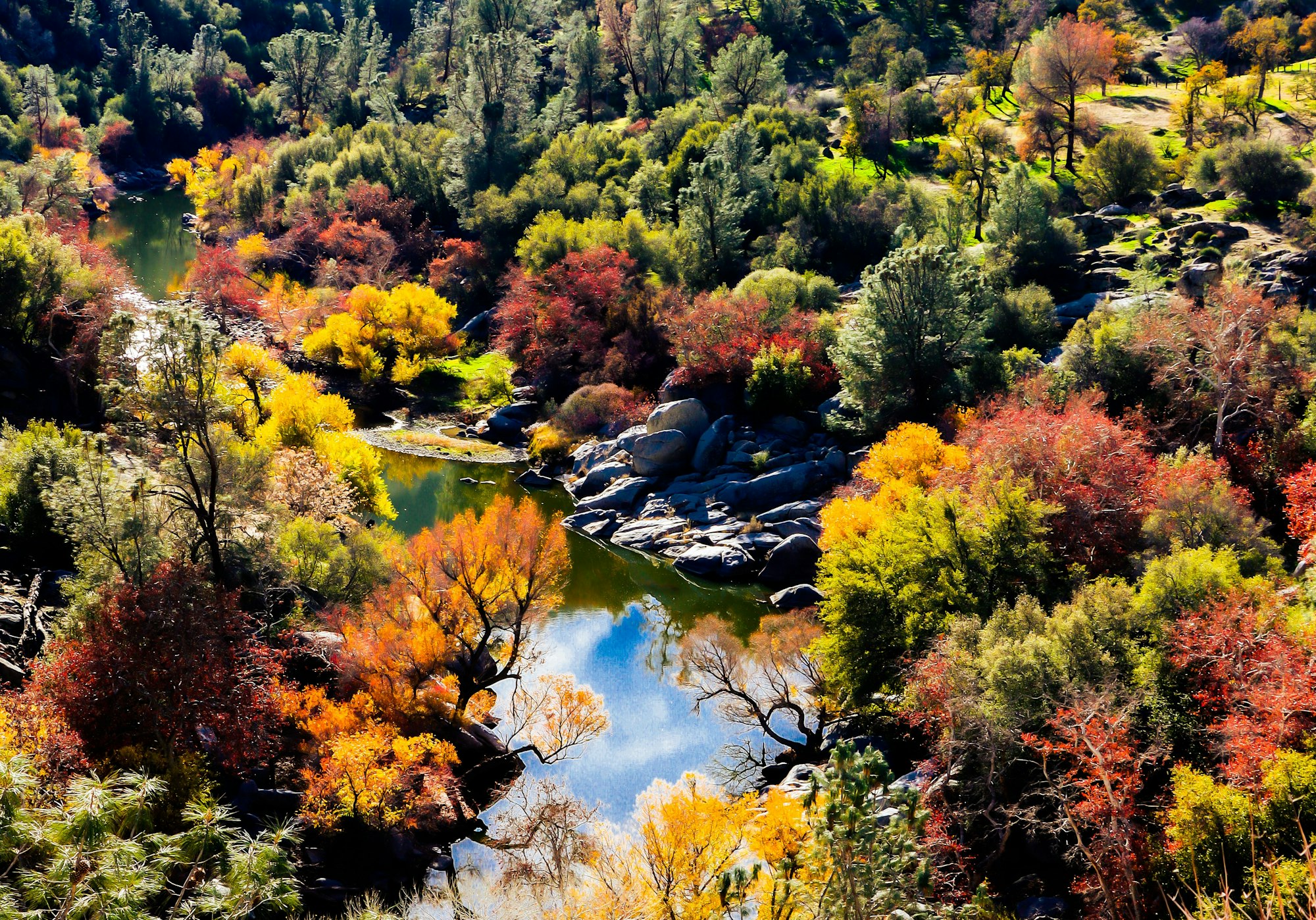 May contain: plant, tree, vegetation, fir, outdoors, nature, scenery, pond, water, creek, stream, leaf, and land