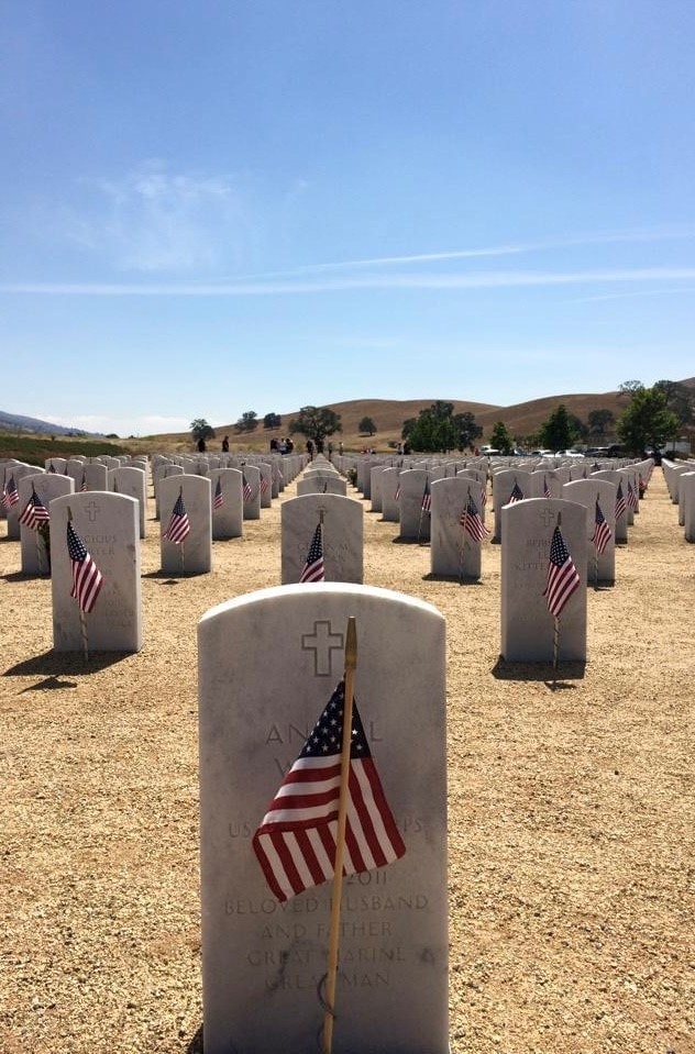 A military cemetery with rows of uniform headstones marked by American flags.