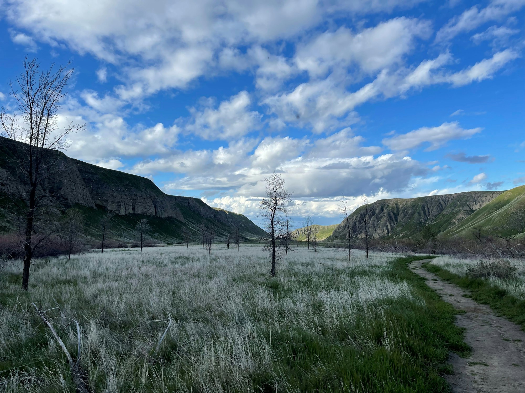 May contain: field, grassland, nature, outdoors, scenery, grass, plant, sky, wilderness, weather, plateau, and landscape