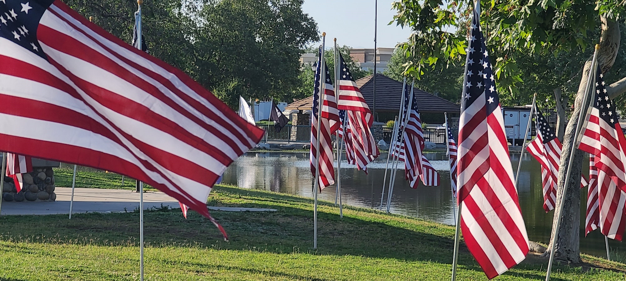 May contain: flag, american flag, grass, and plant