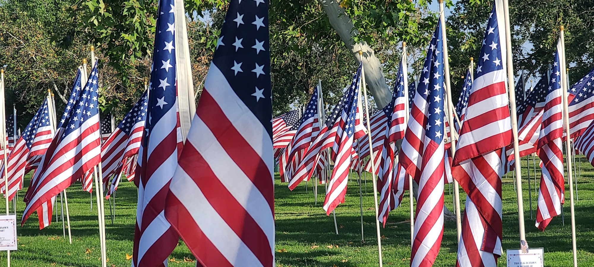 May contain: american flag and flag