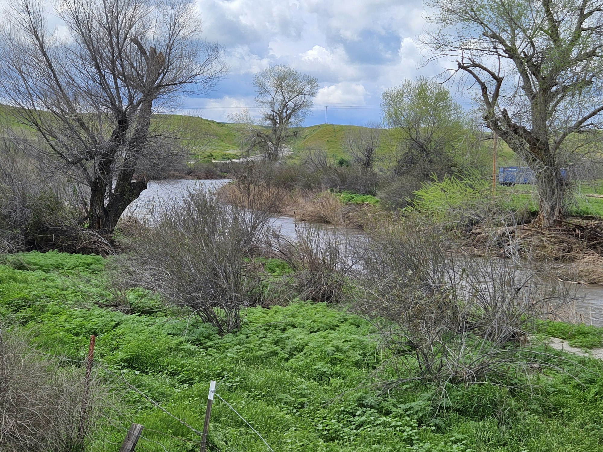 May contain: land, nature, outdoors, field, grassland, plant, vegetation, wilderness, swamp, water, pond, and tree