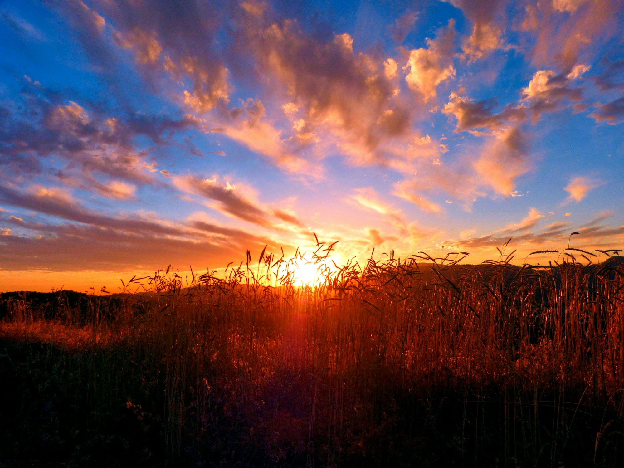 May contain: nature, outdoors, sky, sunset, sunlight, sunrise, scenery, grass, plant, and landscape