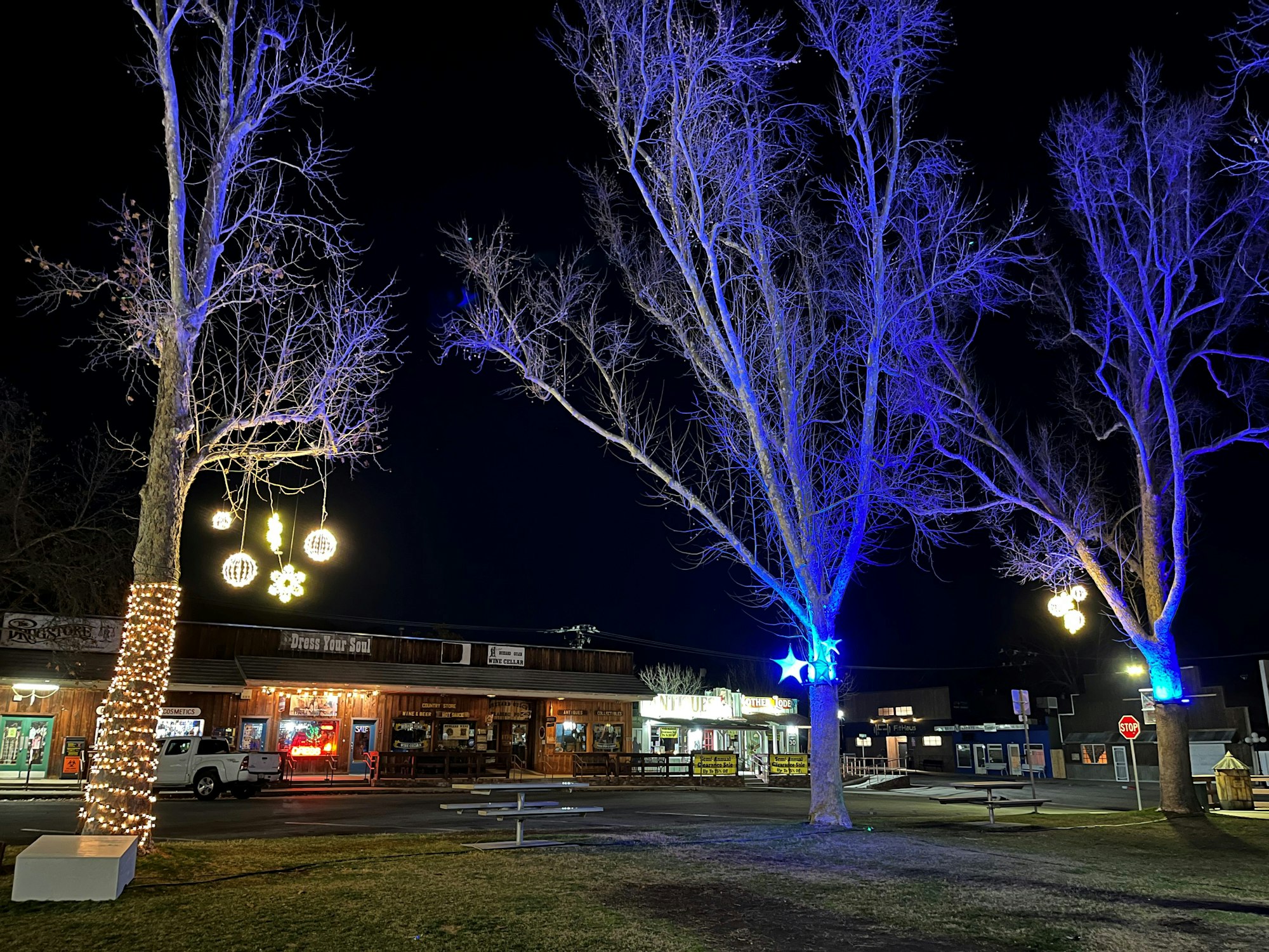 A nighttime street scene with trees lit in blue, festive decorations, and shops in the background.