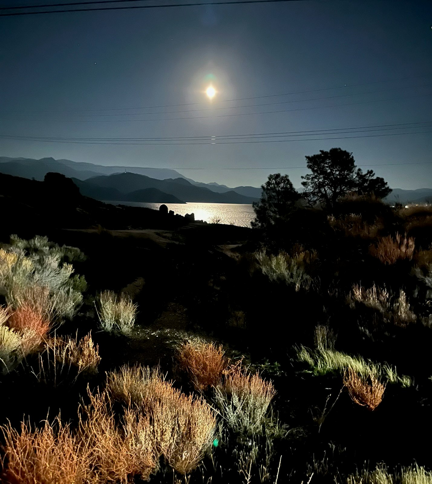 Moonlit landscape with mountains, a reflective body of water, and illuminated shrubbery under a night sky.