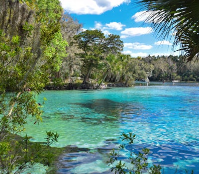 May contain: lagoon, lake, nature, outdoors, water, scenery, landscape, plant, vegetation, land, summer, sea, rainforest, tree, and shoreline