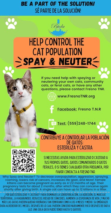 A colorful poster promoting cat spay and neuter, featuring a kitten, contact info, QR code, and bilingual educational text.