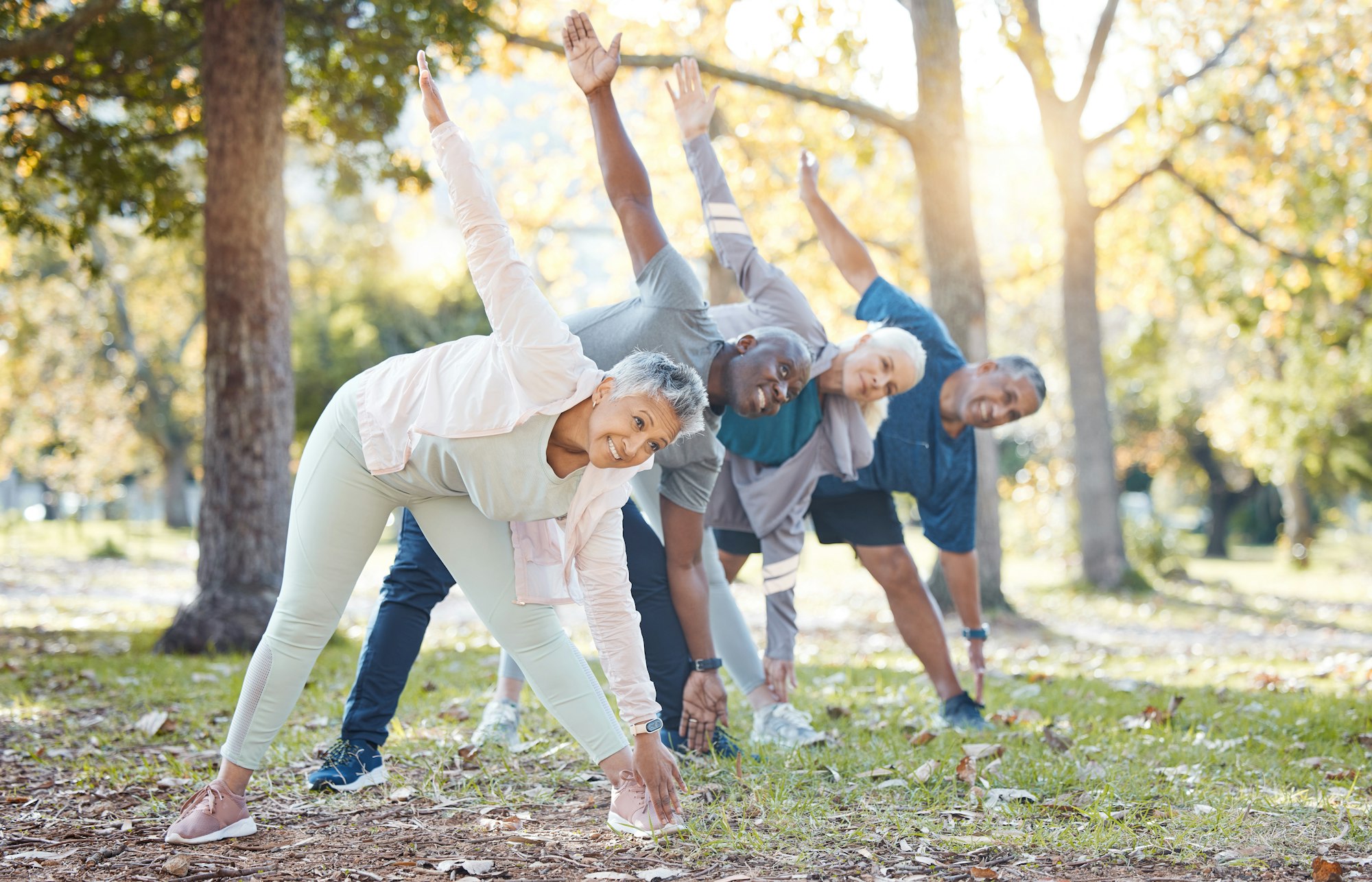 A group of people stretching in a park, surrounded by trees and sunlight.