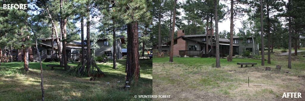Before and after view of a forest area with a wooden house, showing tree thinning for fire prevention.