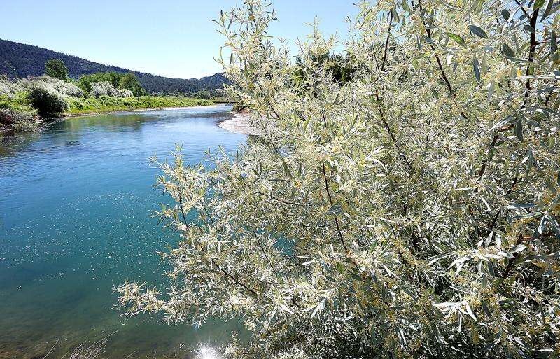 A scenic river view with clear blue water, surrounded by lush greenery and trees under a bright blue sky.