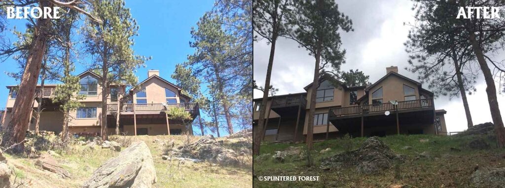 A "Before and After" comparison of a property's tree management, showing fewer trees around the house in the "After" image.