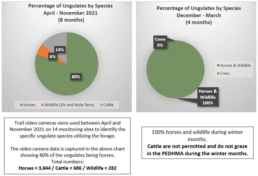 pie charts