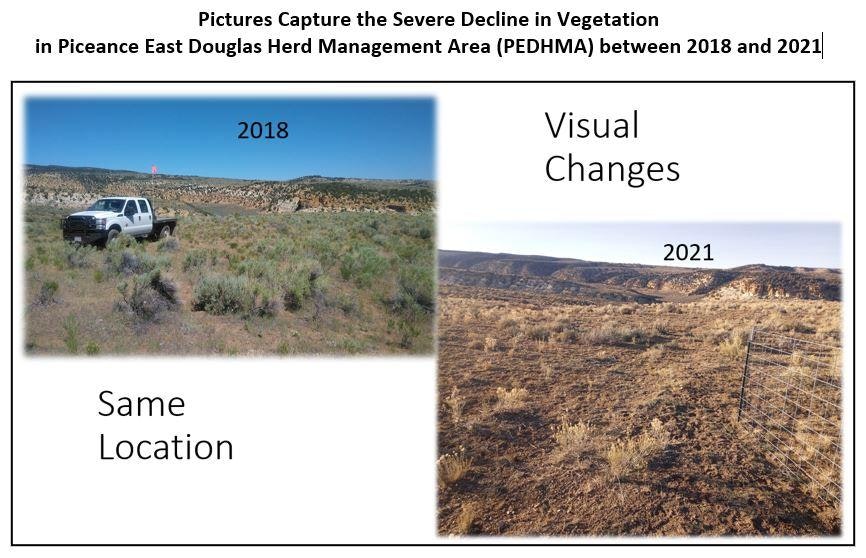 May contain: soil, pickup truck, transportation, truck, vehicle, outdoors, land, and nature