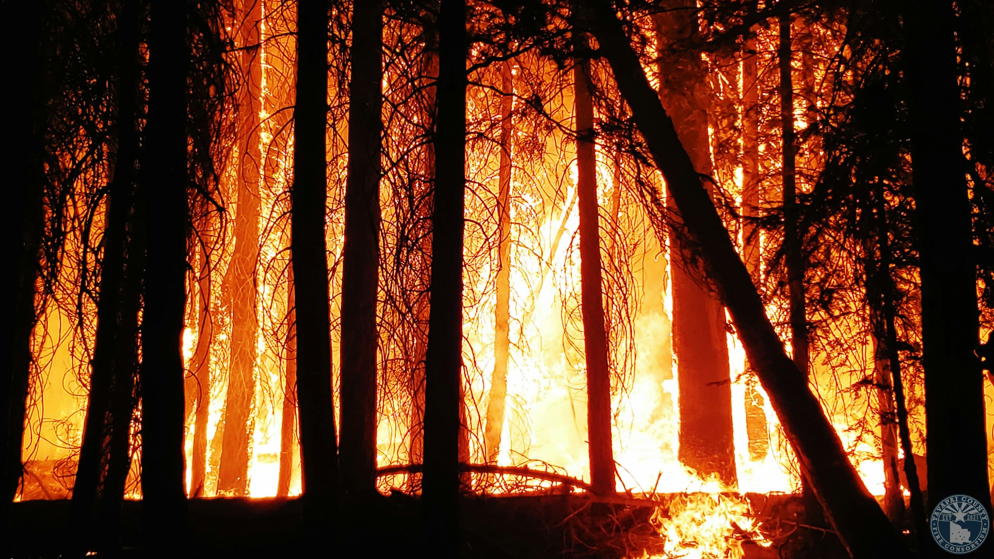 A forest engulfed in bright orange flames, with trees silhouetted against the fire.