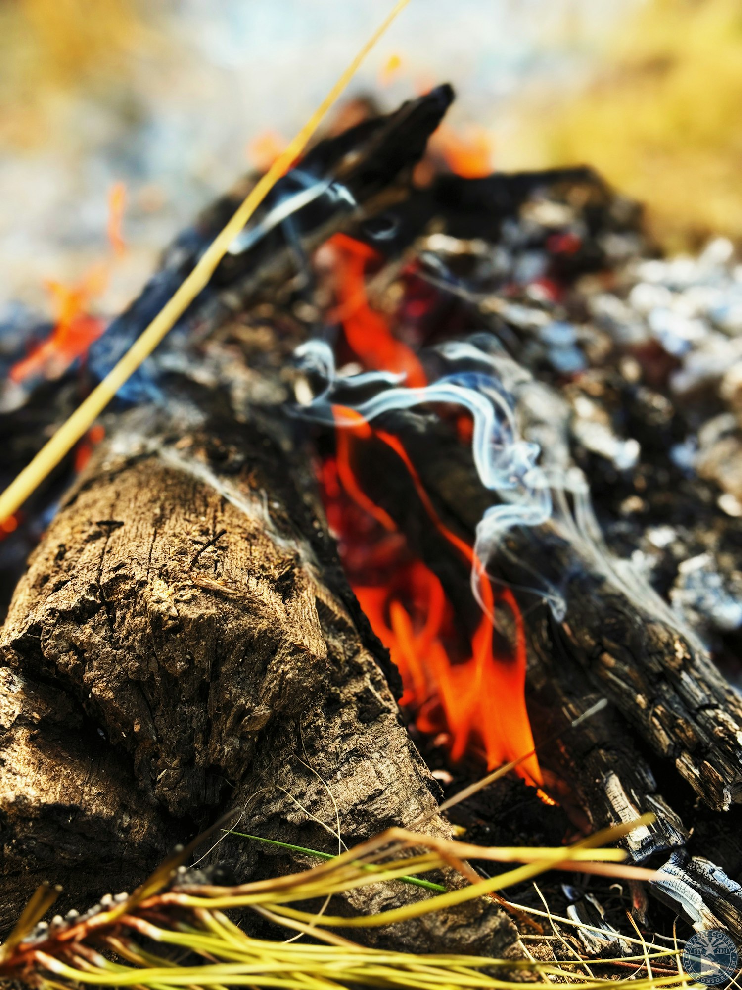 Burning logs with visible flames and smoke, surrounded by dry grass.