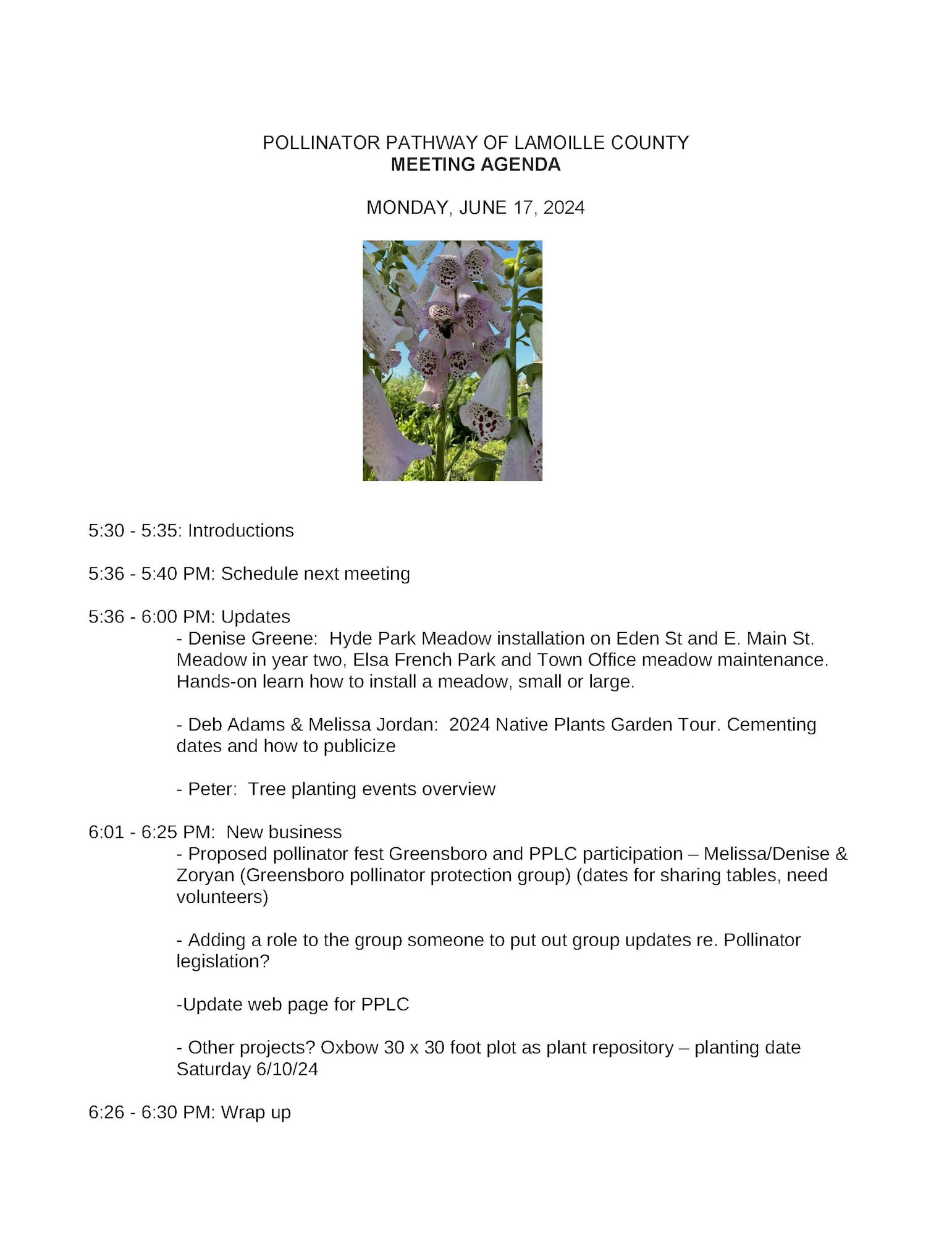 An agenda for a Pollinator Pathway meeting on June 17, 2024, with a photo of flowers at the top.