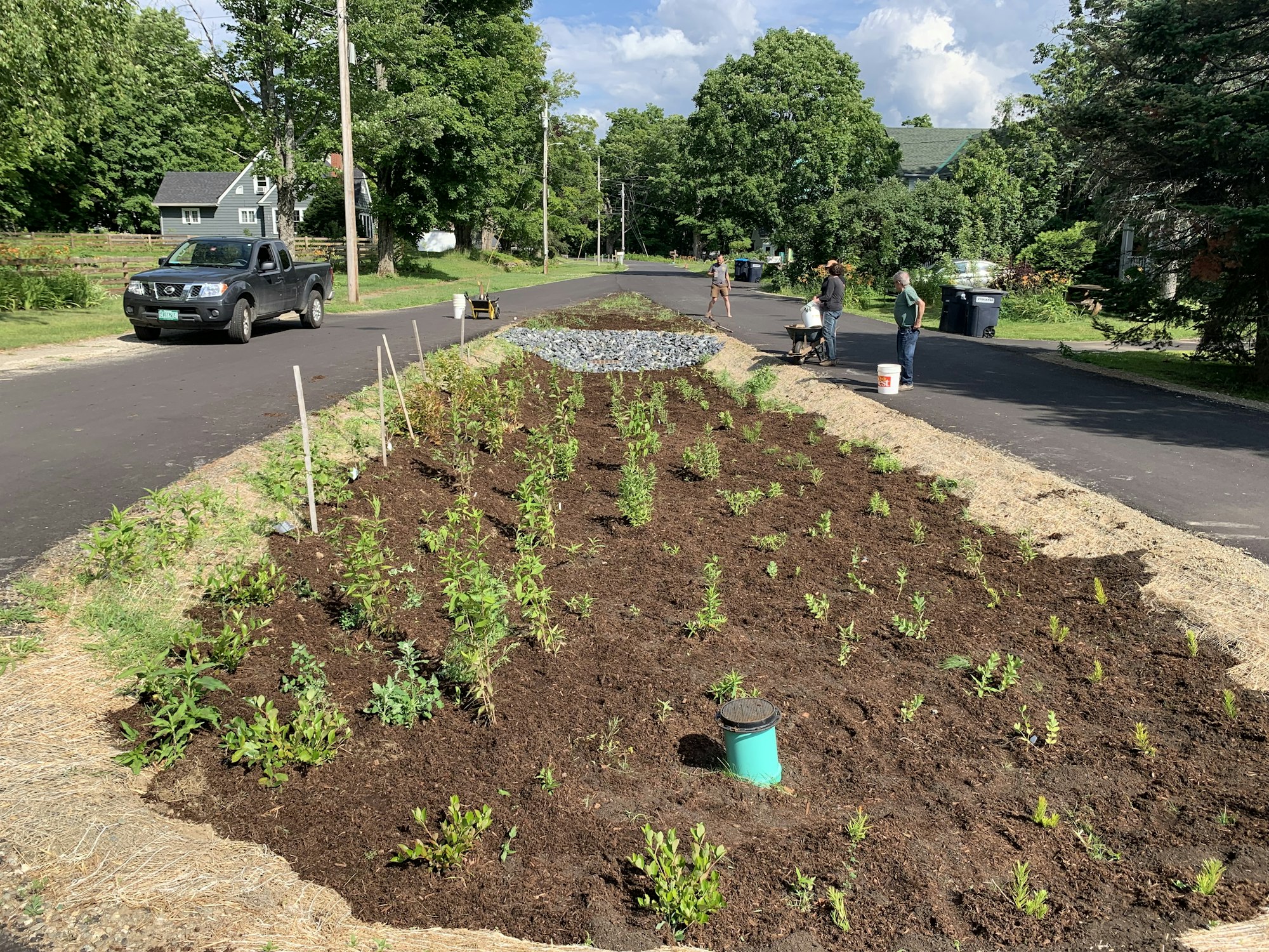 A road with a car, people gardening in a new roadside plant bed, homes, trees, and a sunny sky.