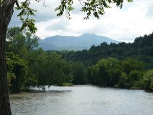 May contain: nature, outdoors, scenery, plant, vegetation, lake, water, land, rainforest, tree, and woodland
