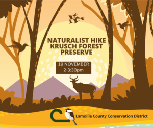May contain: advertisement, poster, animal, deer, mammal, wildlife, and antelope