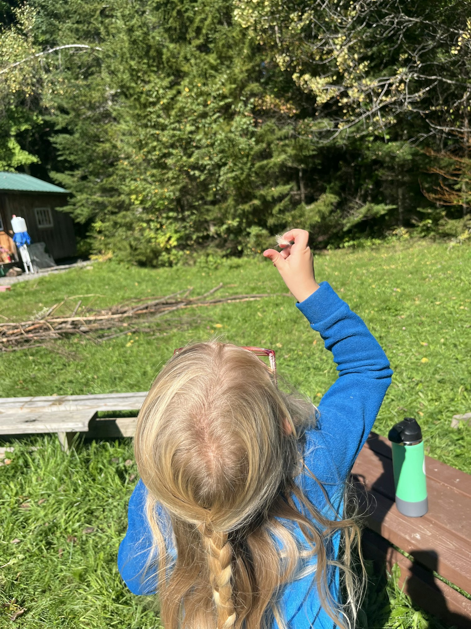Child with braided hair holding strawberry outside near greenery and a bench with a water bottle. (Image is rotated)
