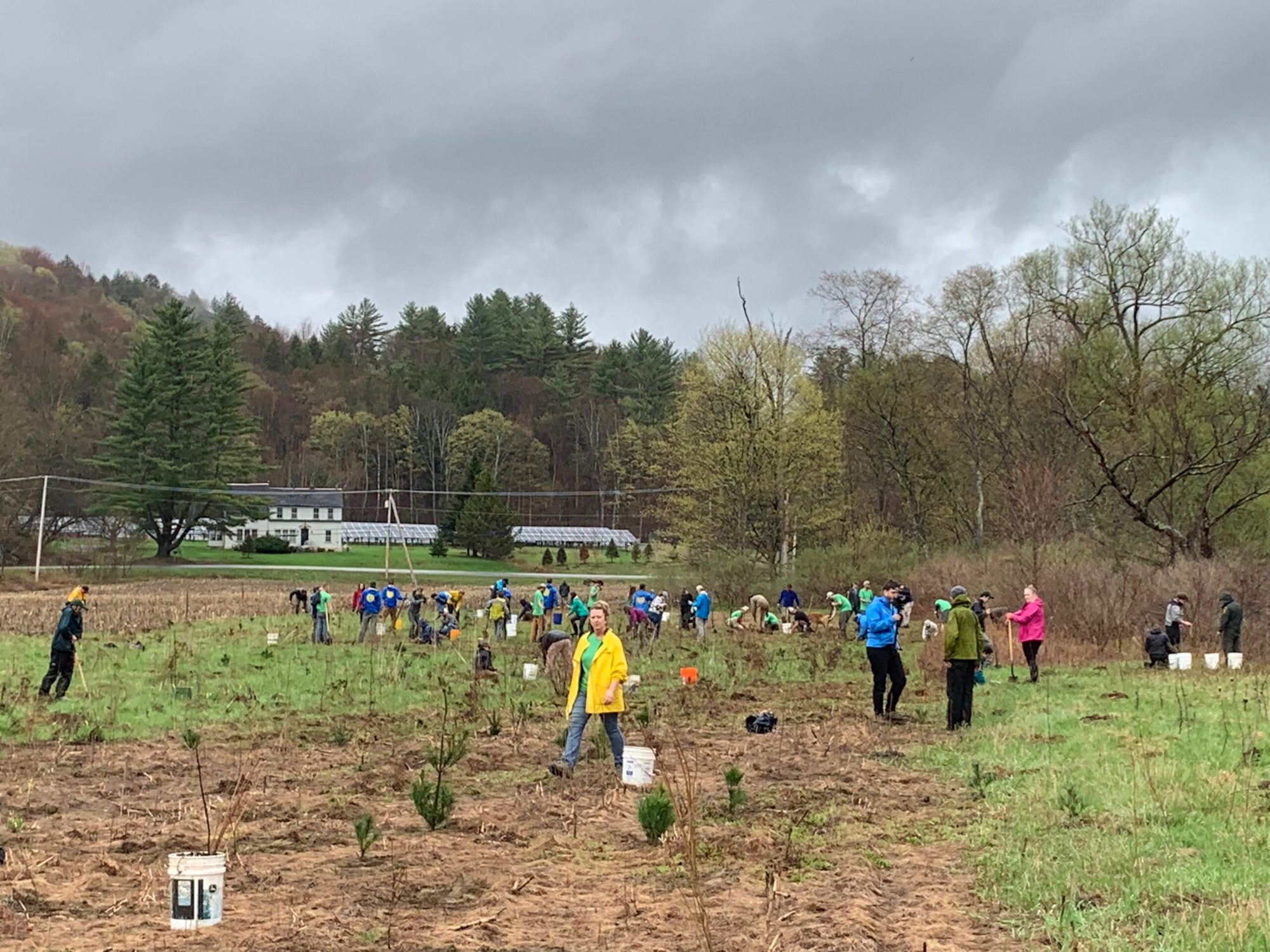 May contain: soil, field, person, plant, planting, tree, land, nature, outdoors, vegetation, woodland, sport, volleyball, volleyball game, baseball, baseball game, ground, and walking