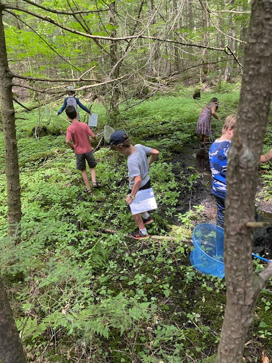 May contain: grove, land, nature, outdoors, plant, tree, vegetation, woodland, jungle, wilderness, clothing, shorts, rainforest, path, adventure, hiking, leisure activities, person, boy, child, male, footwear, shoe, face, head, photography, portrait, trail, hat, wristwatch, rock, soil, water, and t-shirt