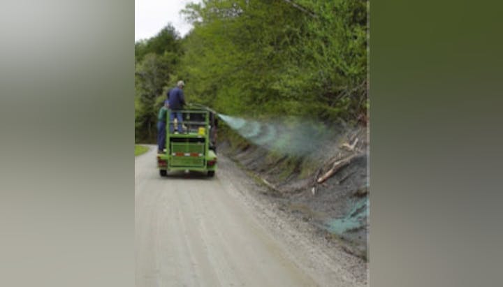 May contain: path, nature, outdoors, trail, plant, vegetation, and land