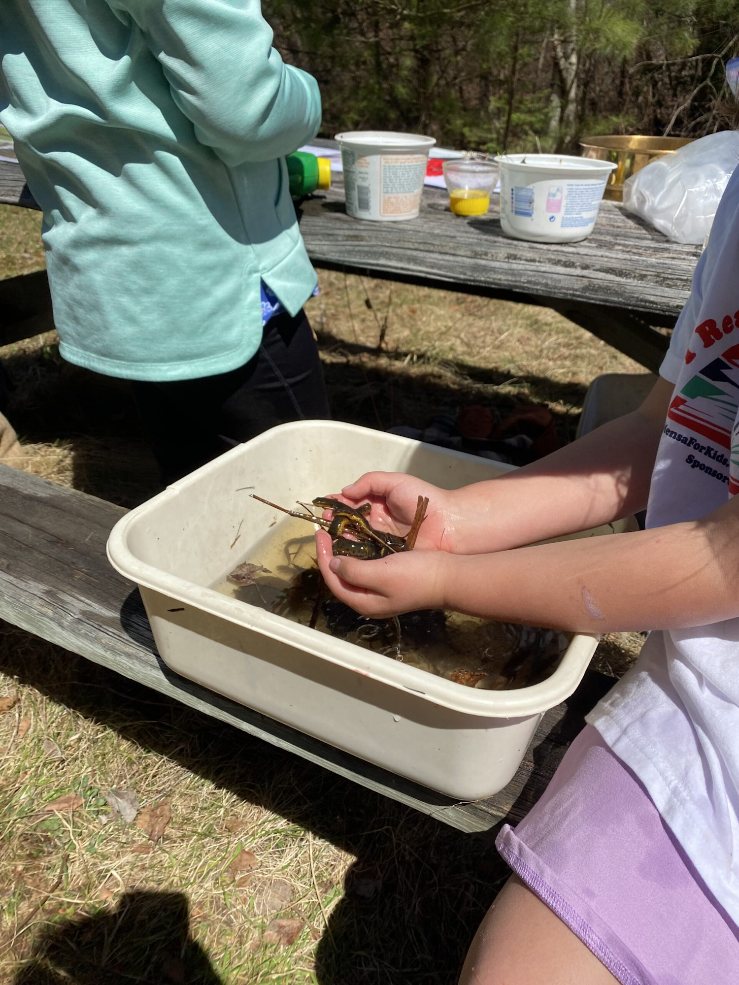 May contain: soil, animal, crawdad, food, invertebrate, sea life, seafood, person, and cup