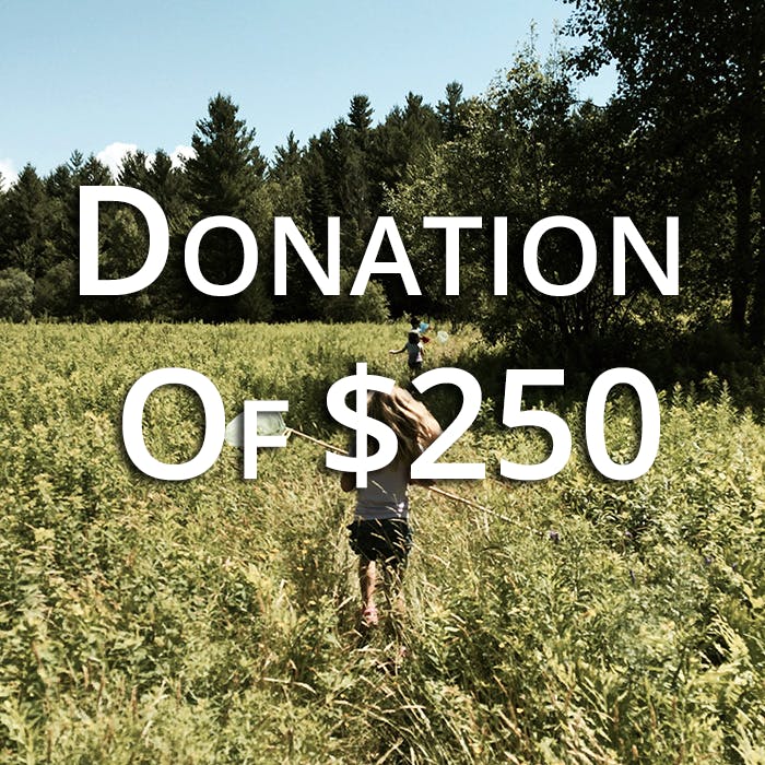 May contain: plant, vegetation, photography, grass, land, nature, outdoors, tree, woodland, field, grassland, agriculture, countryside, grove, person, walking, and people