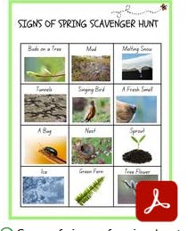 May contain: soil, animal, and bird