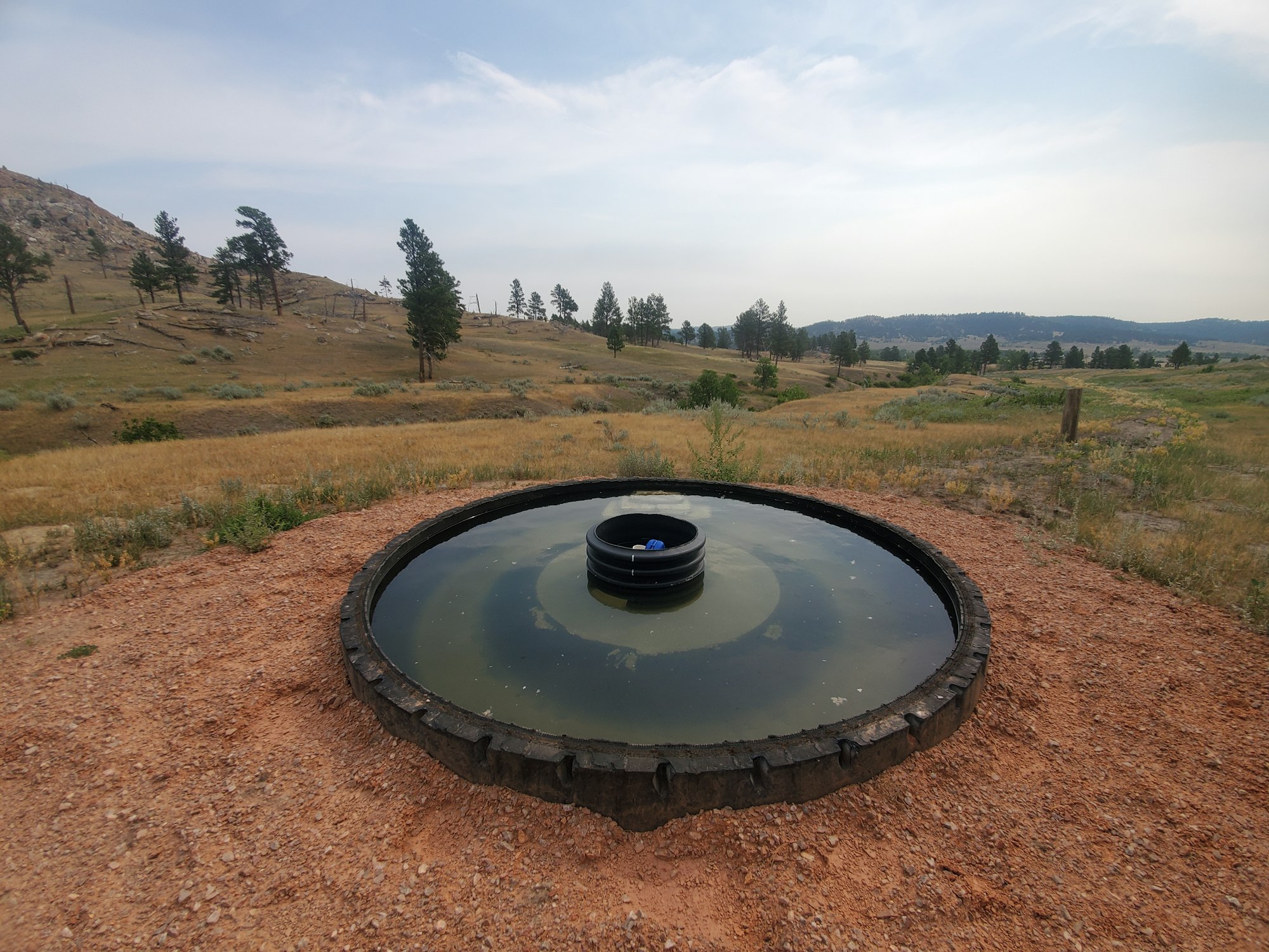 May contain: tire, plant, tree, alloy wheel, car, car wheel, machine, spoke, transportation, vehicle, wheel, water, nature, outdoors, pond, fir, gravel, road, and soil
