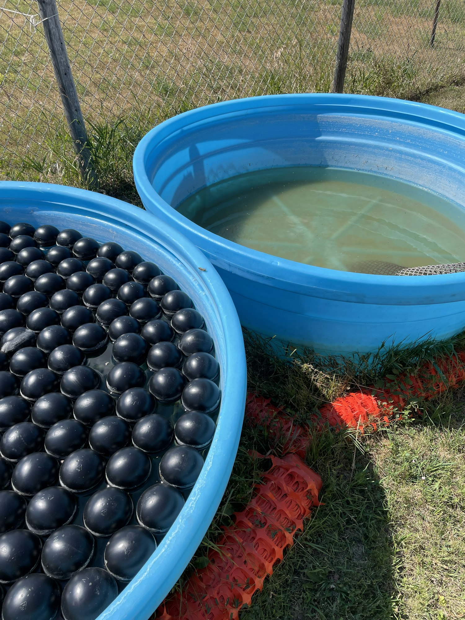 Two large blue kiddie pools; one empty, one filled with black spheres. Grass and a chain-link fence visible.