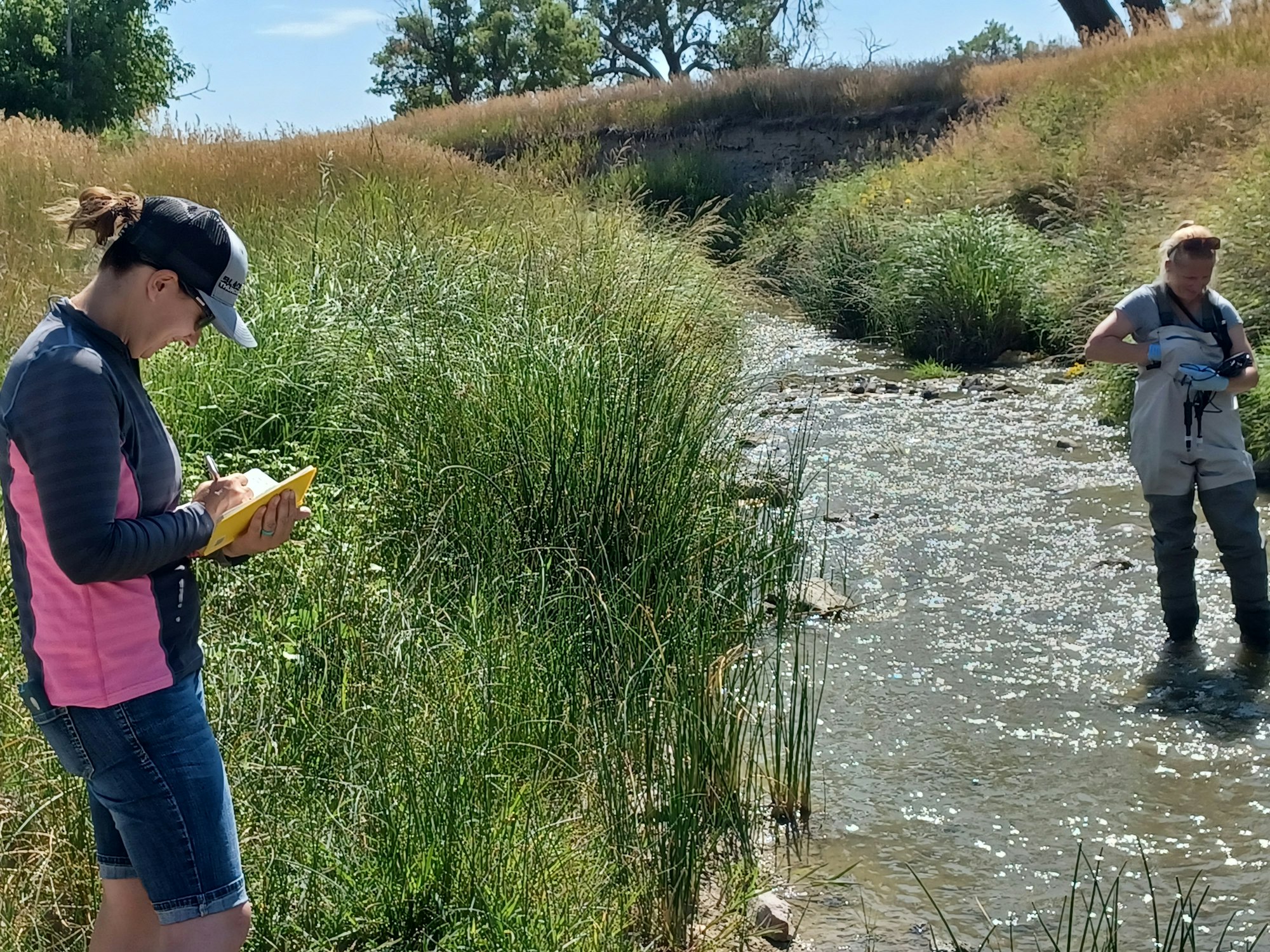 May contain: person, vegetation, plant, outdoors, water, land, and nature